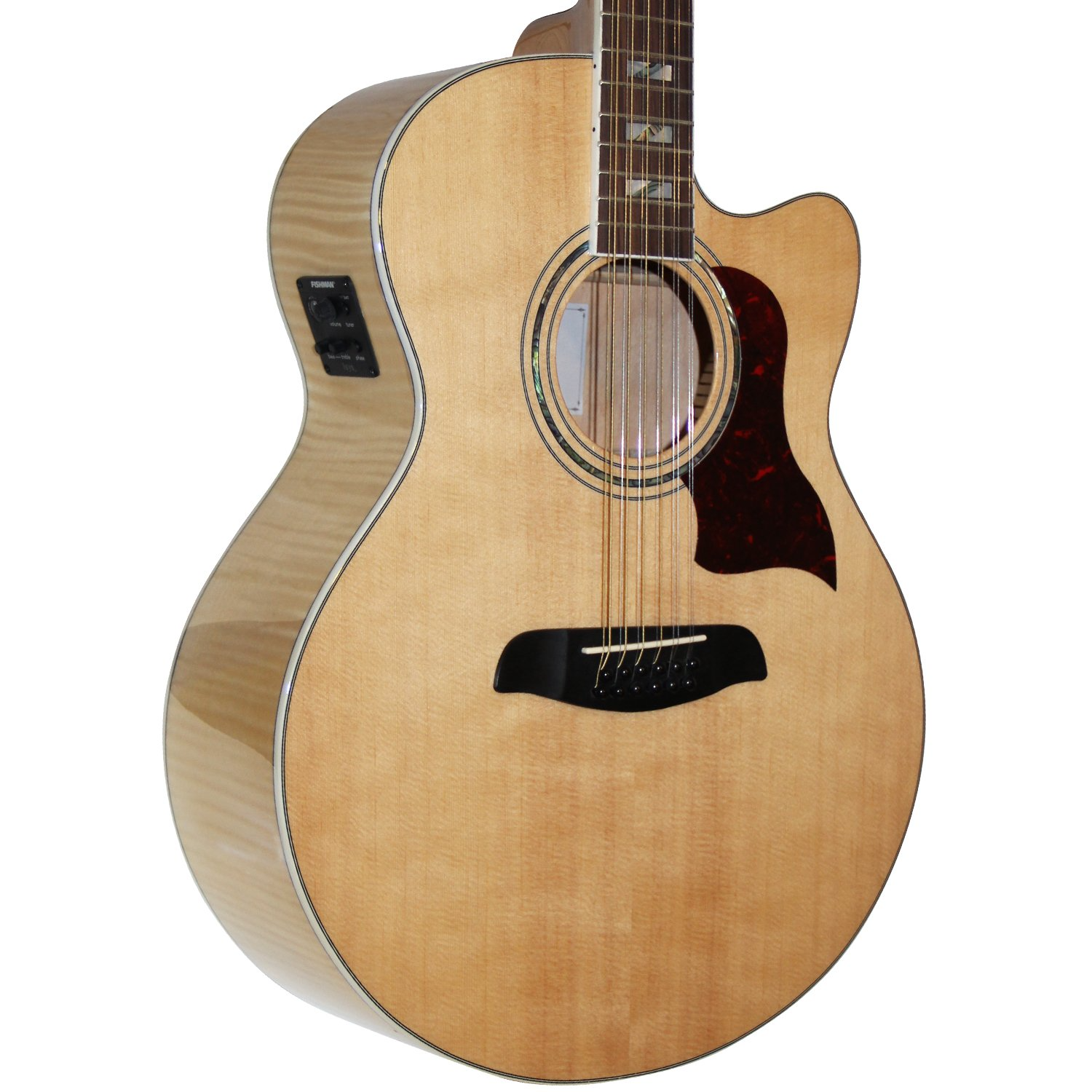 Electro Acoustic Guitar