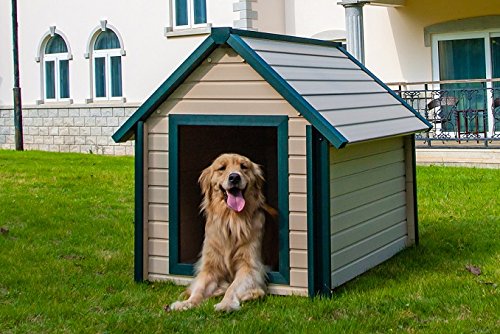 Bunk Style Dog House