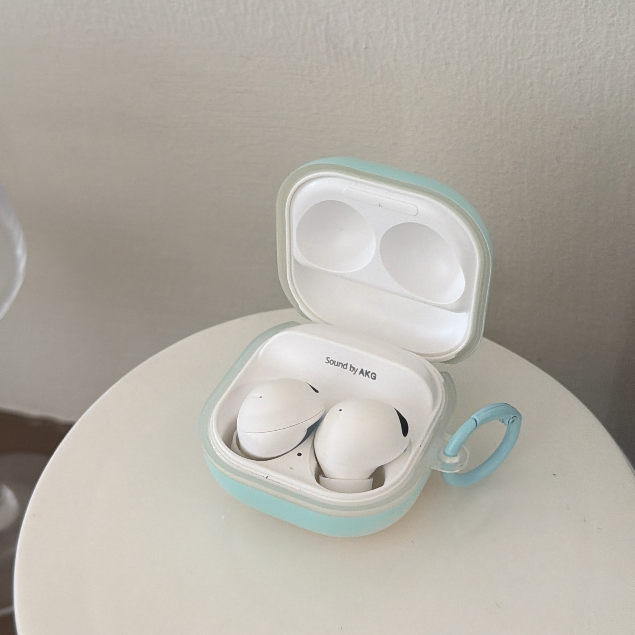 Earphone Case Protective Case - back view