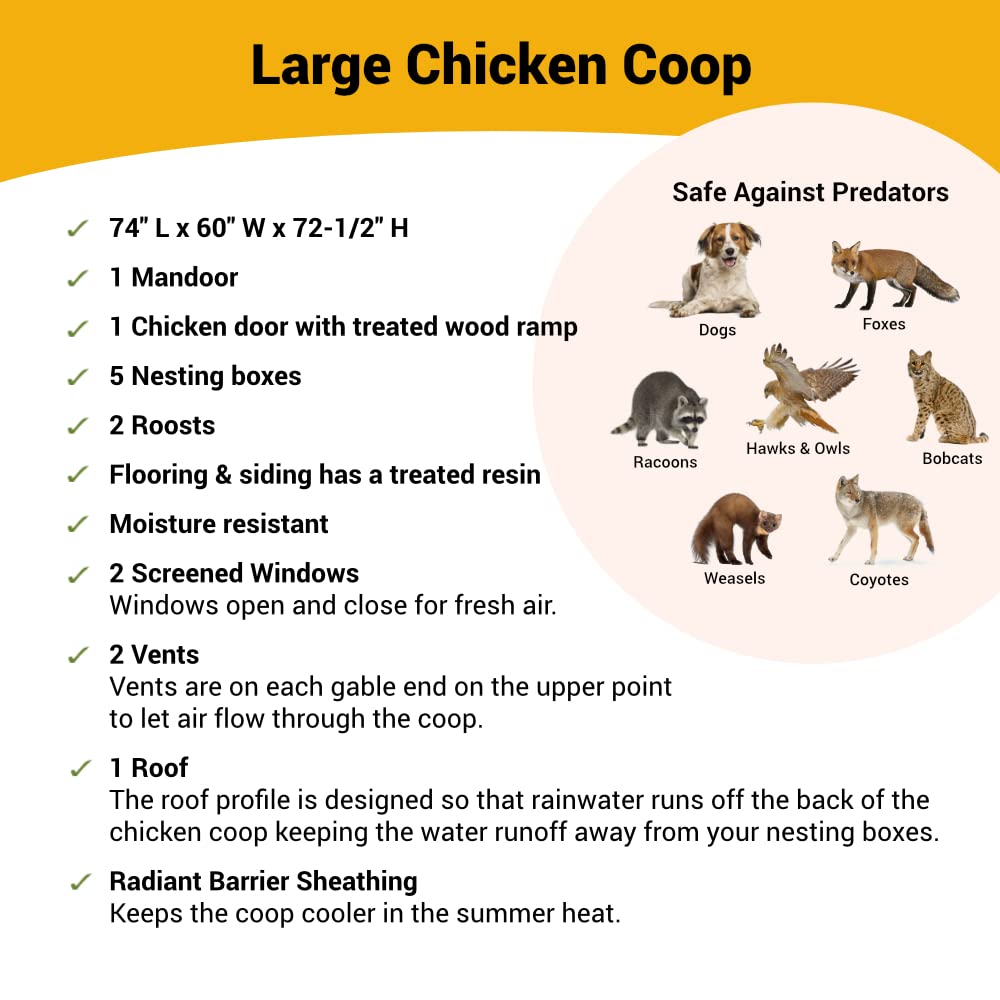 Large Chicken Coop for Up to 15 Chickens - Nesting Box - Large