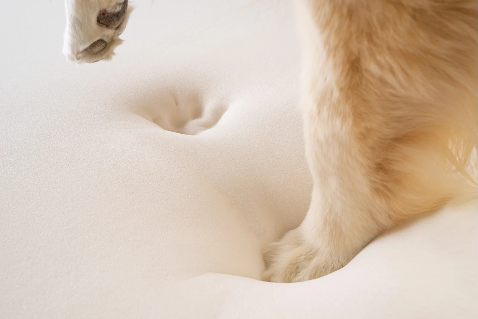 Pretor Puprug Runner Faux Fur Memory Foam Dog Curve Mat