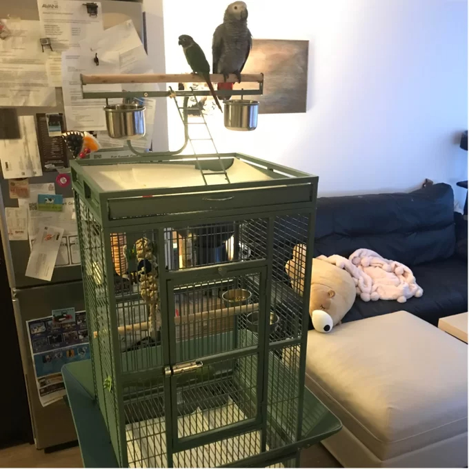 Bremer Steel Play Top Floor Bird Cage with Wheels
