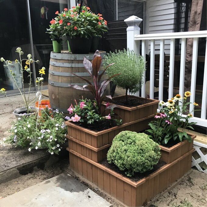 Gordonsville 2.5x2.5 ft Wood Raised Garden Bed