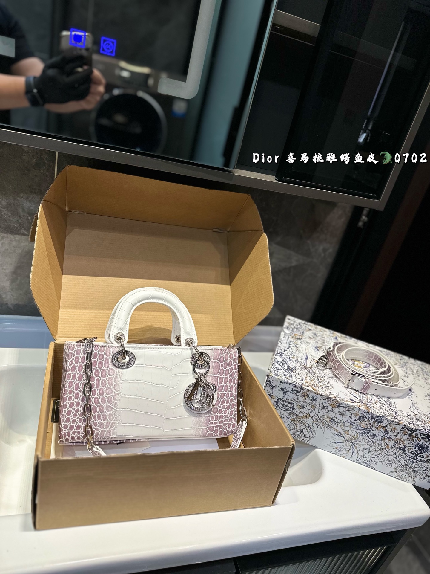 DIOR Lady D-joy horizontal Diana bag