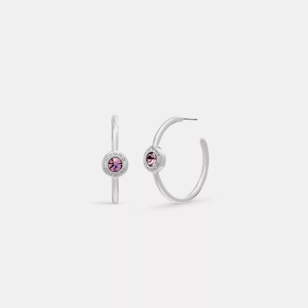 COAthtCH Open Circle Stone Hoop Earrings