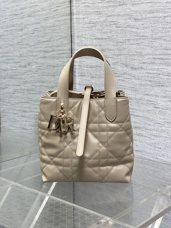 Dior Toujours Vertical Tote Bag Small Taupe