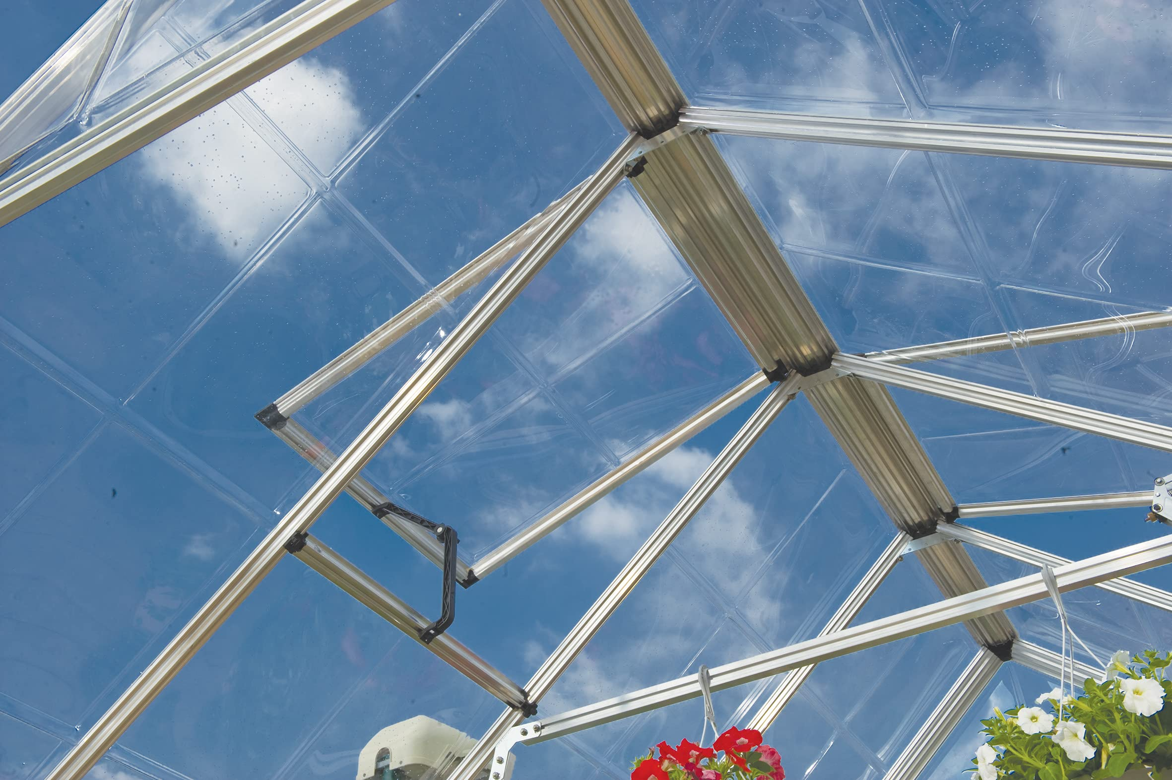 Vitavia 8x6 Venus 5000 Greenhouse - Horticultural Glass