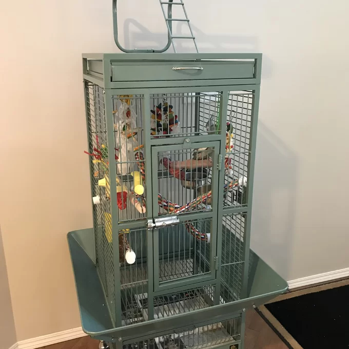 Bremer Steel Play Top Floor Bird Cage with Wheels