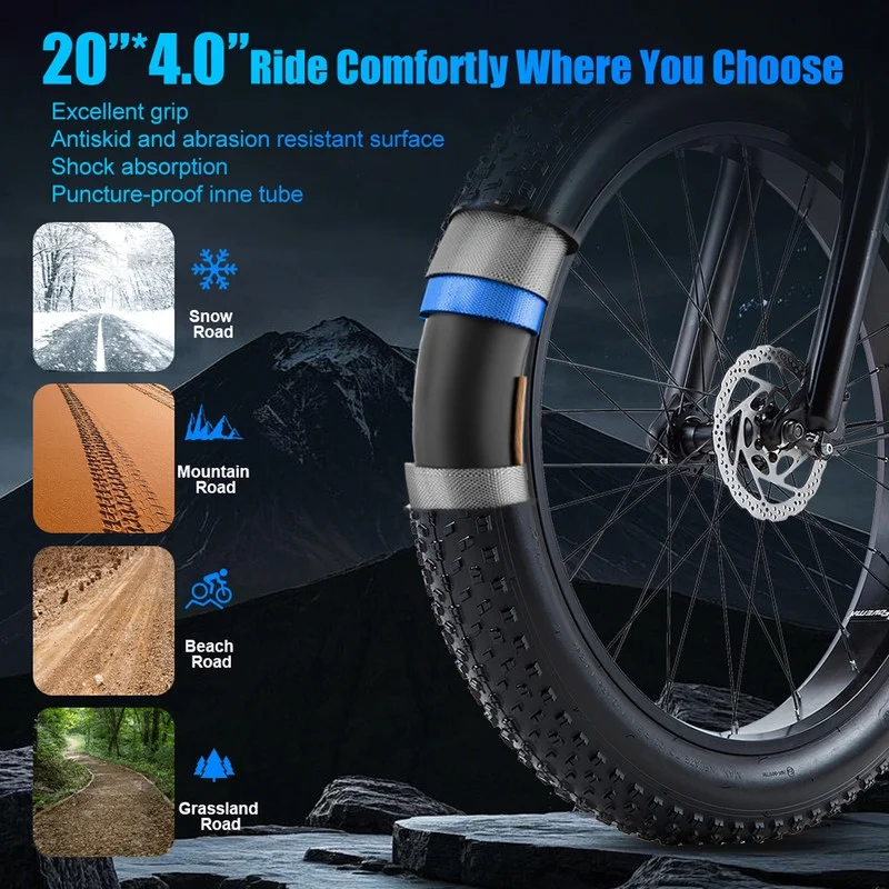 20in Fat Tire Electric Bike, 800W, 48V 32Ah, Two Seats