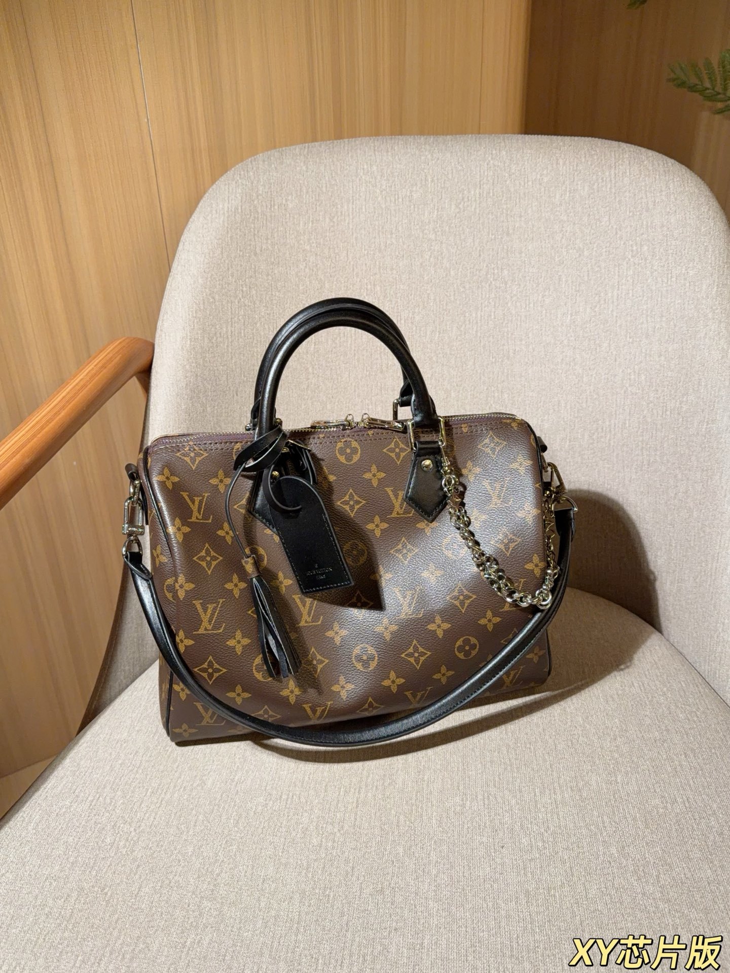 Louis Vuitton Speedy 30