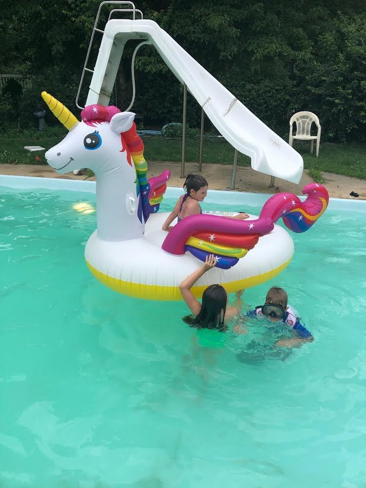 Flamingo Party Island
