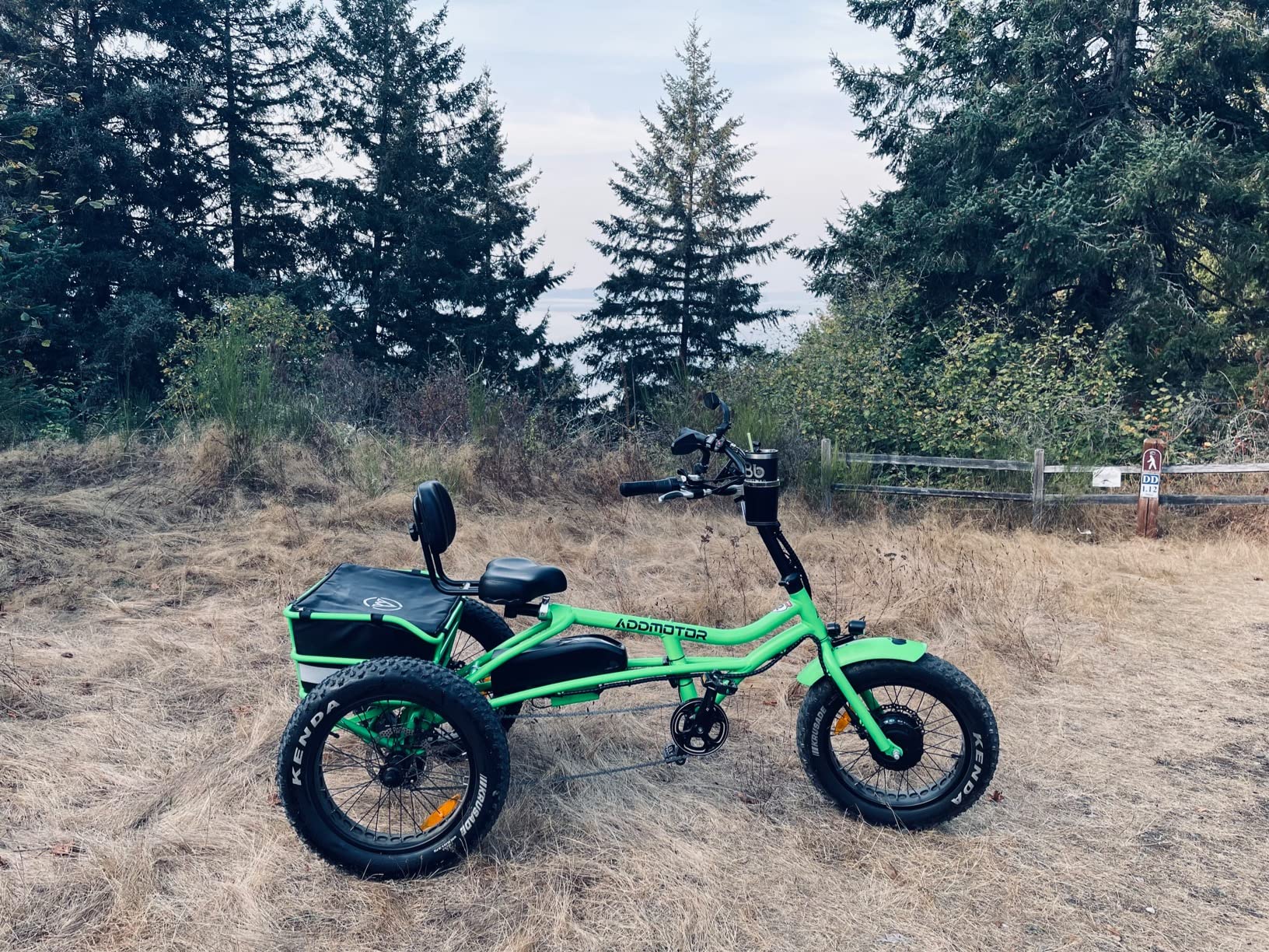 Addmotor Motan Electric Trike Adults 20"x4" Fat Tire