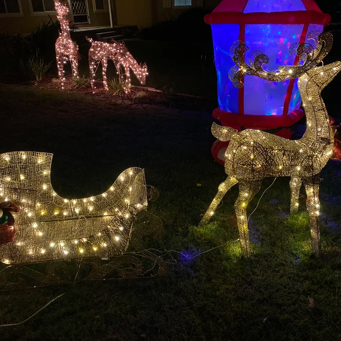 Reindeer Pulling Sleigh Lighted Display