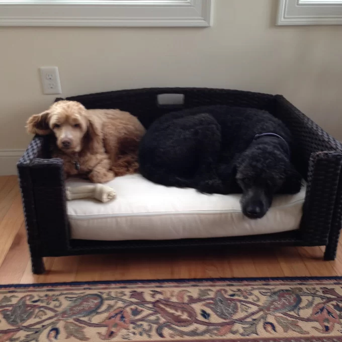 Cristobal Rattan Rectangular Dog Sofa