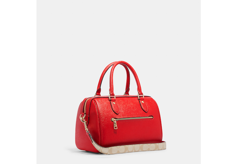COAthtCH Classic handbags