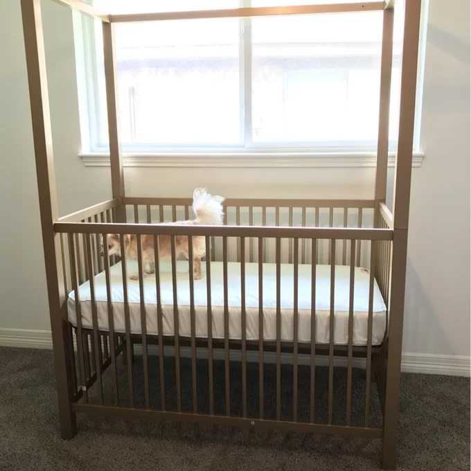 Monarch Hill Haven Canopy Crib