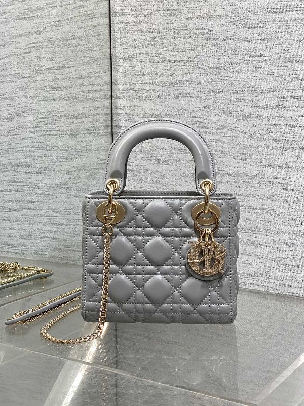 Lady Dior Bag Mini Silver