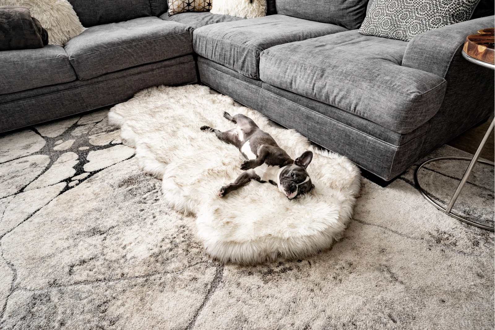 Pretor Puprug Runner Faux Fur Memory Foam Dog Curve Mat