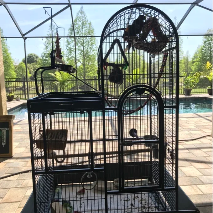 Nickelson 66'' Steel Play Top Floor Bird Cage with Wheels