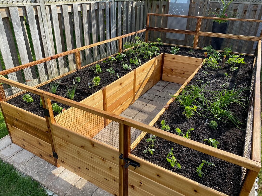 8x8 ft Cedar Garden in a Box