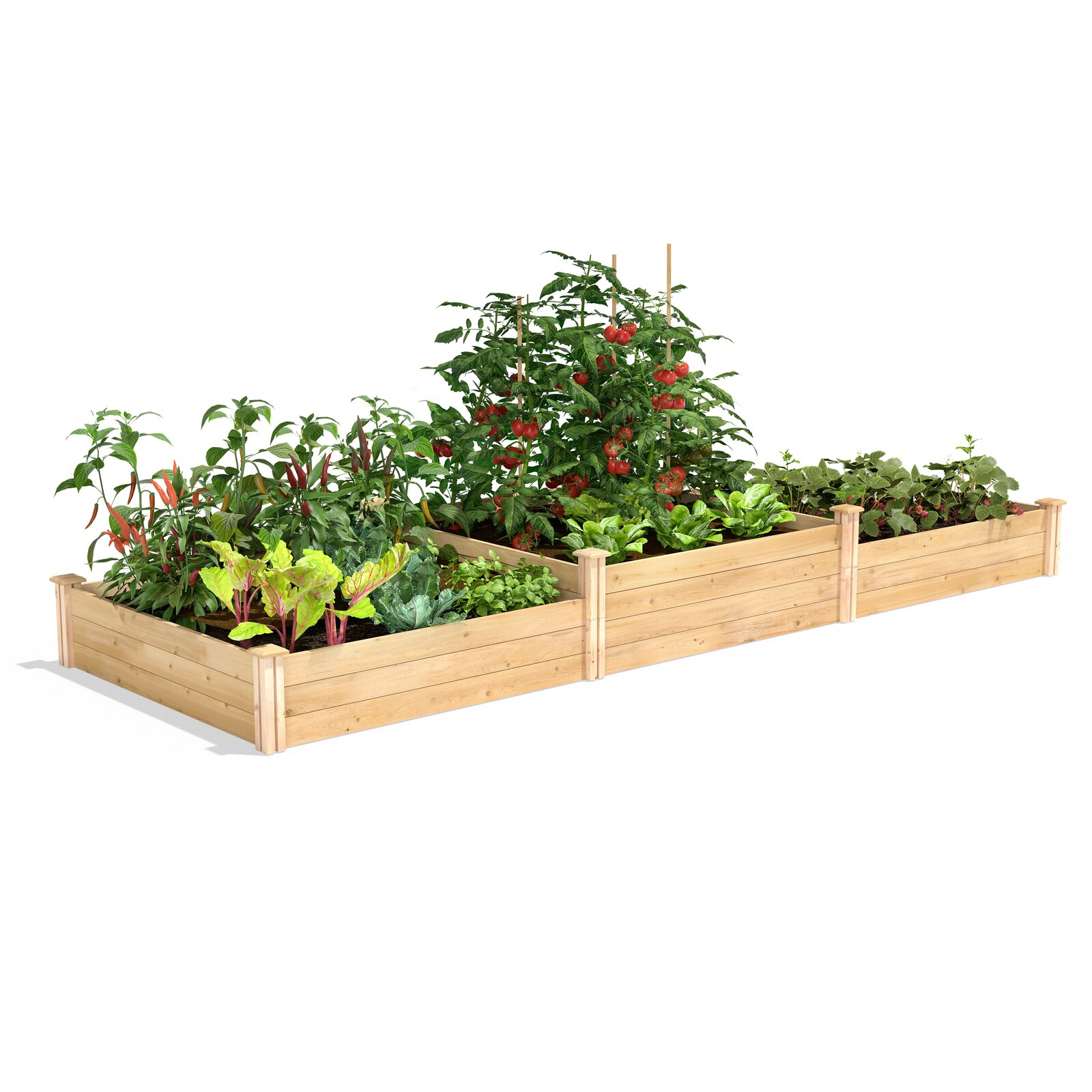 12x4 ft Cedar Raised Garden