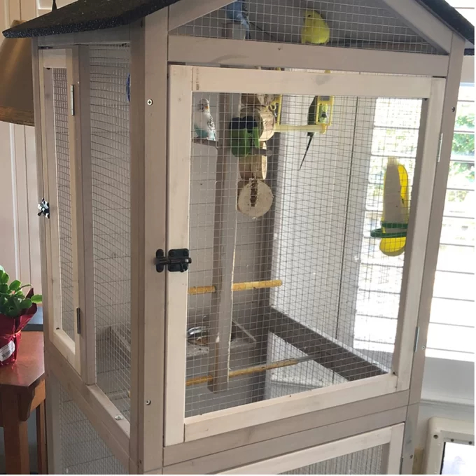 Freddy 70'' Pointed Top Flight Cage with Stand