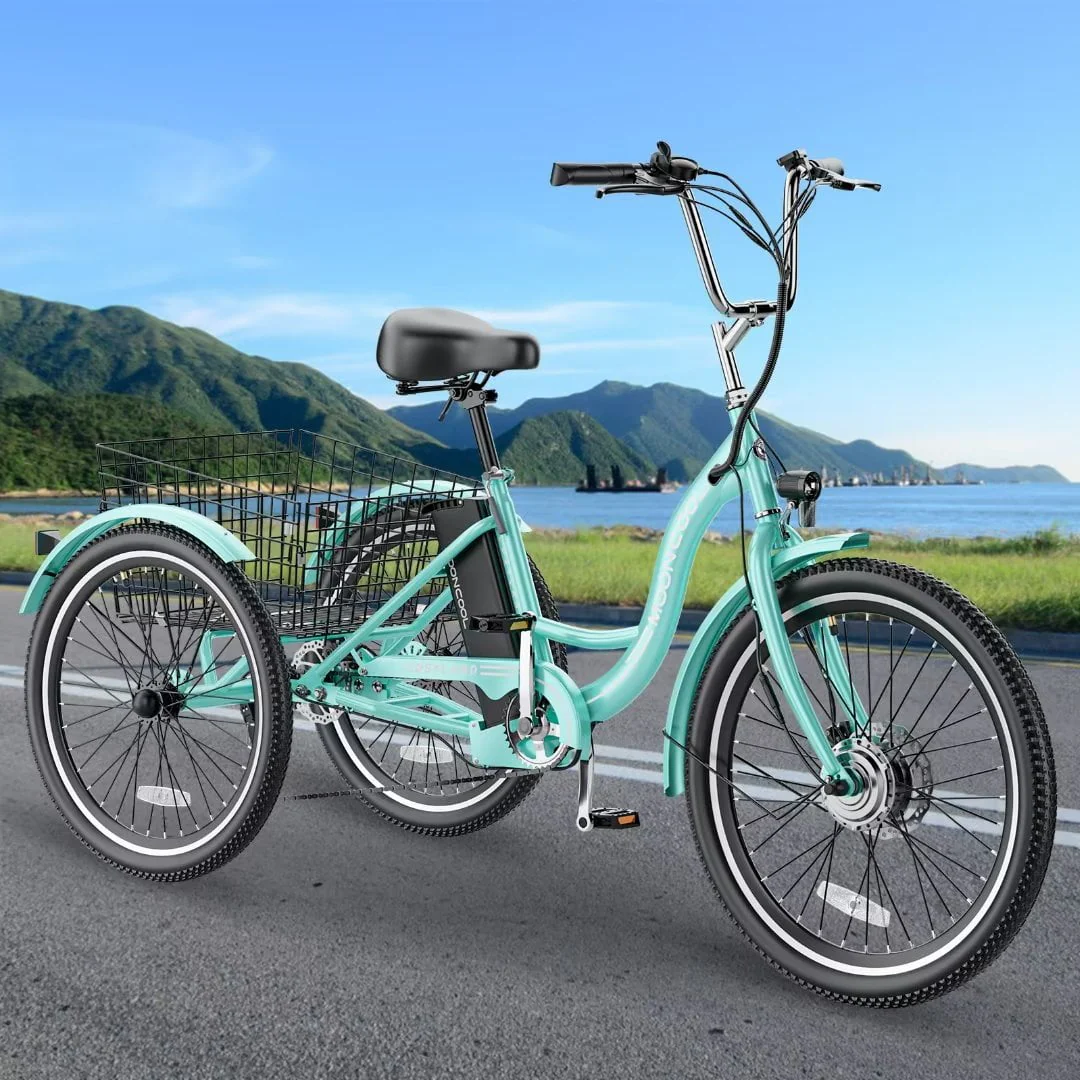 Docred 24in Electric Tricycle with Basket, 350W, 36V 10.4Ah