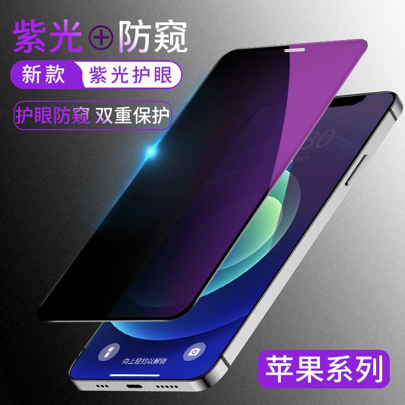 iPhone 17 Pro Tempered Glass Privacy - back view