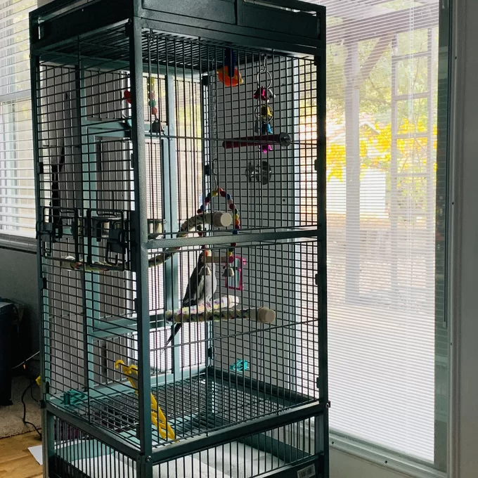 Bremer Steel Play Top Floor Bird Cage with Wheels