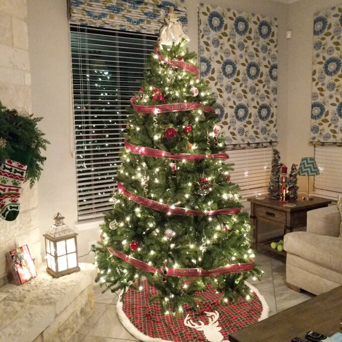 Newberry Spruce 90'' Lighted Artificial Spruce Christmas Tree