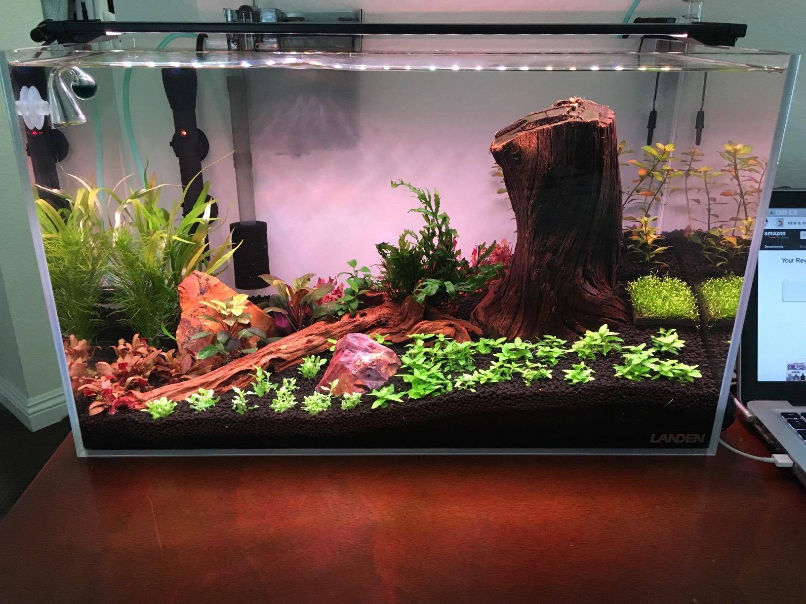 120P 72.2 Gallon Rimless Low Iron Aquarium Tank