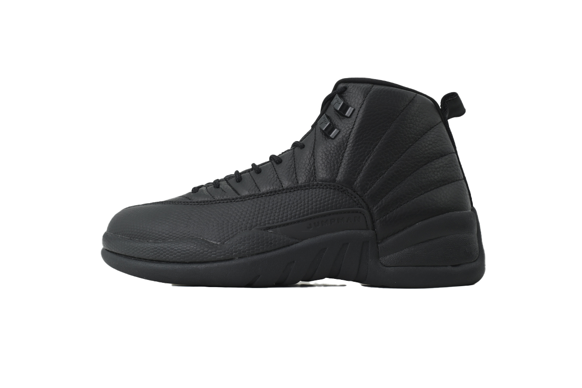 Air Jordan 12 Retro Black Cat CT8013-010