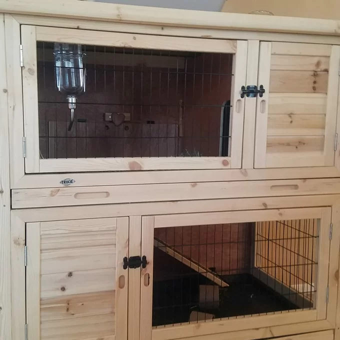 Gatsby Weather Resistant Hutch with Ramp