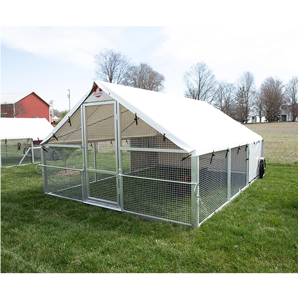 Chicken Coop