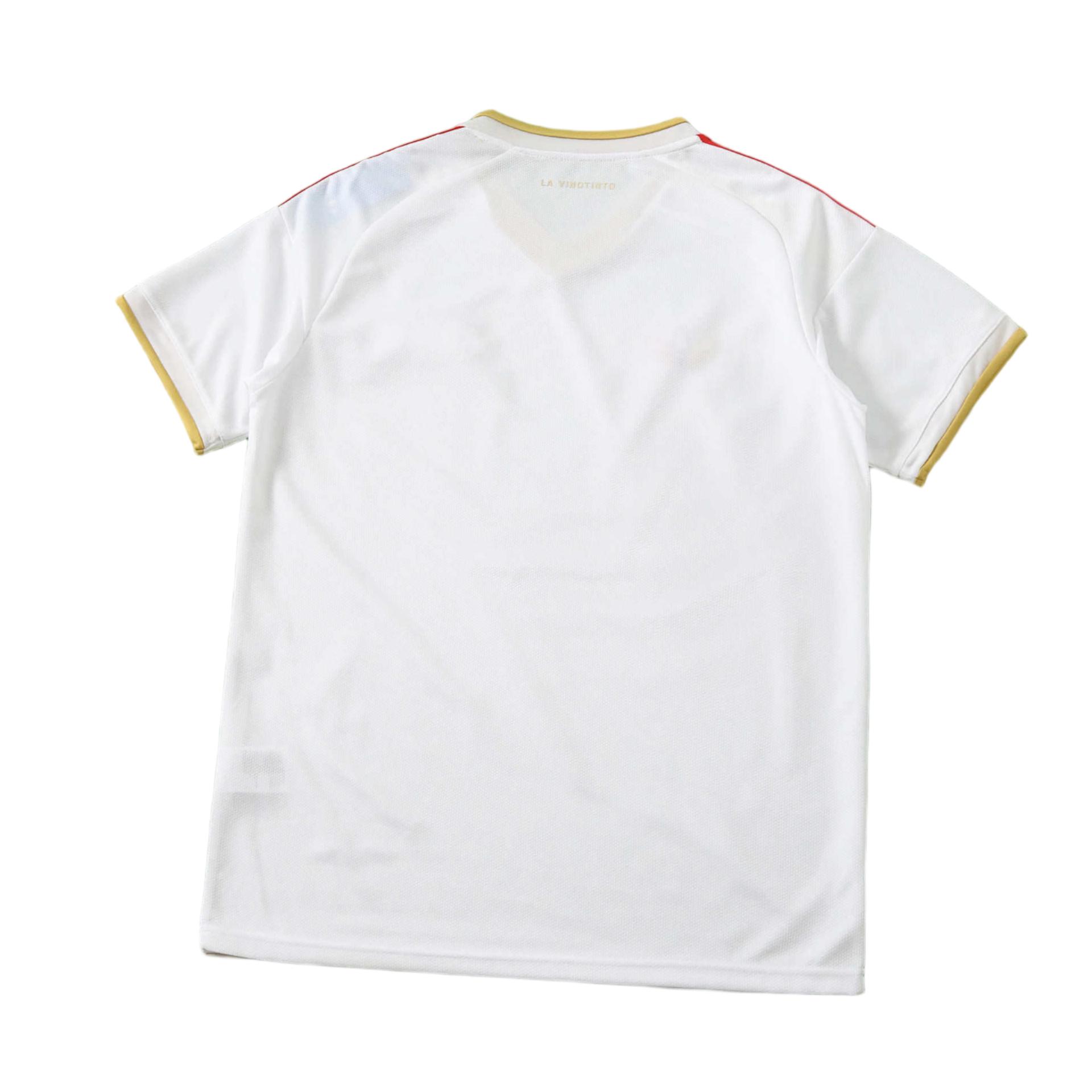 Venezuela 2026 Away Jersey S-4XL