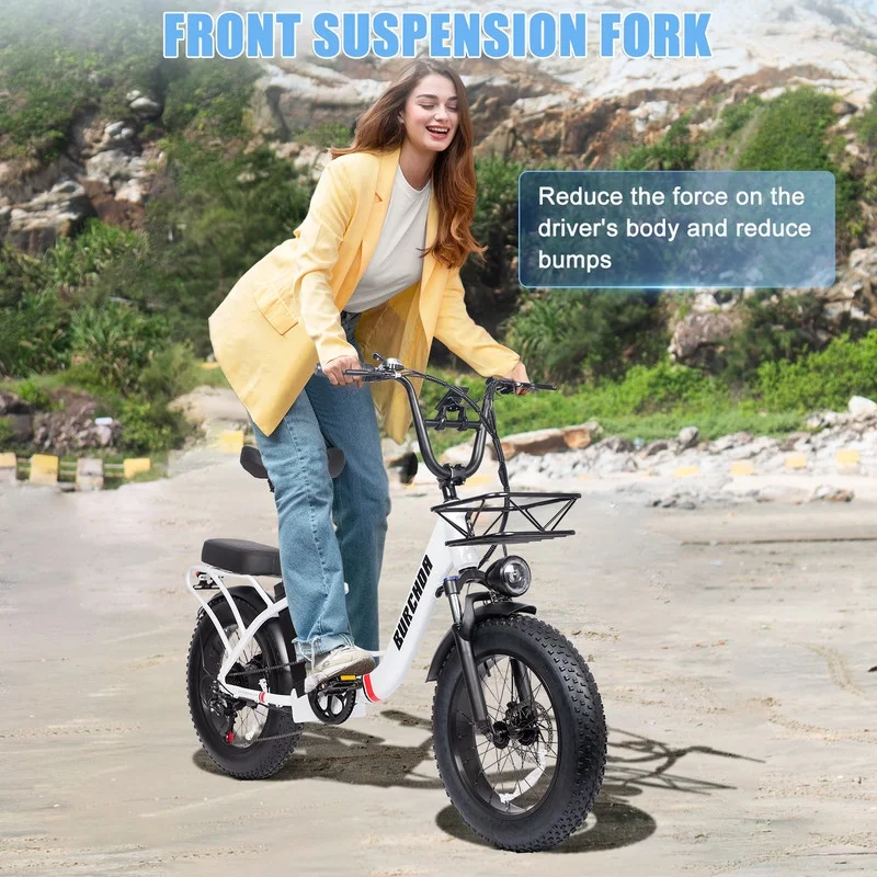 20in Fat Tire Electric Bike, 800W, 48V 32Ah, Two Seats