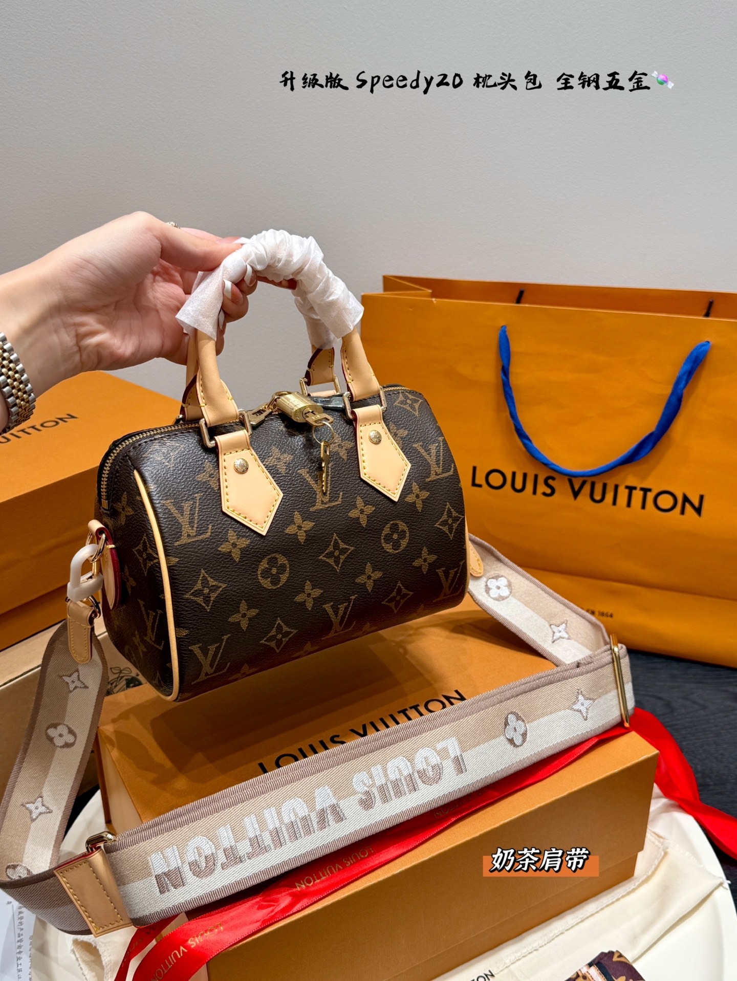 Louis Vuitton Speedy 20 Monogram