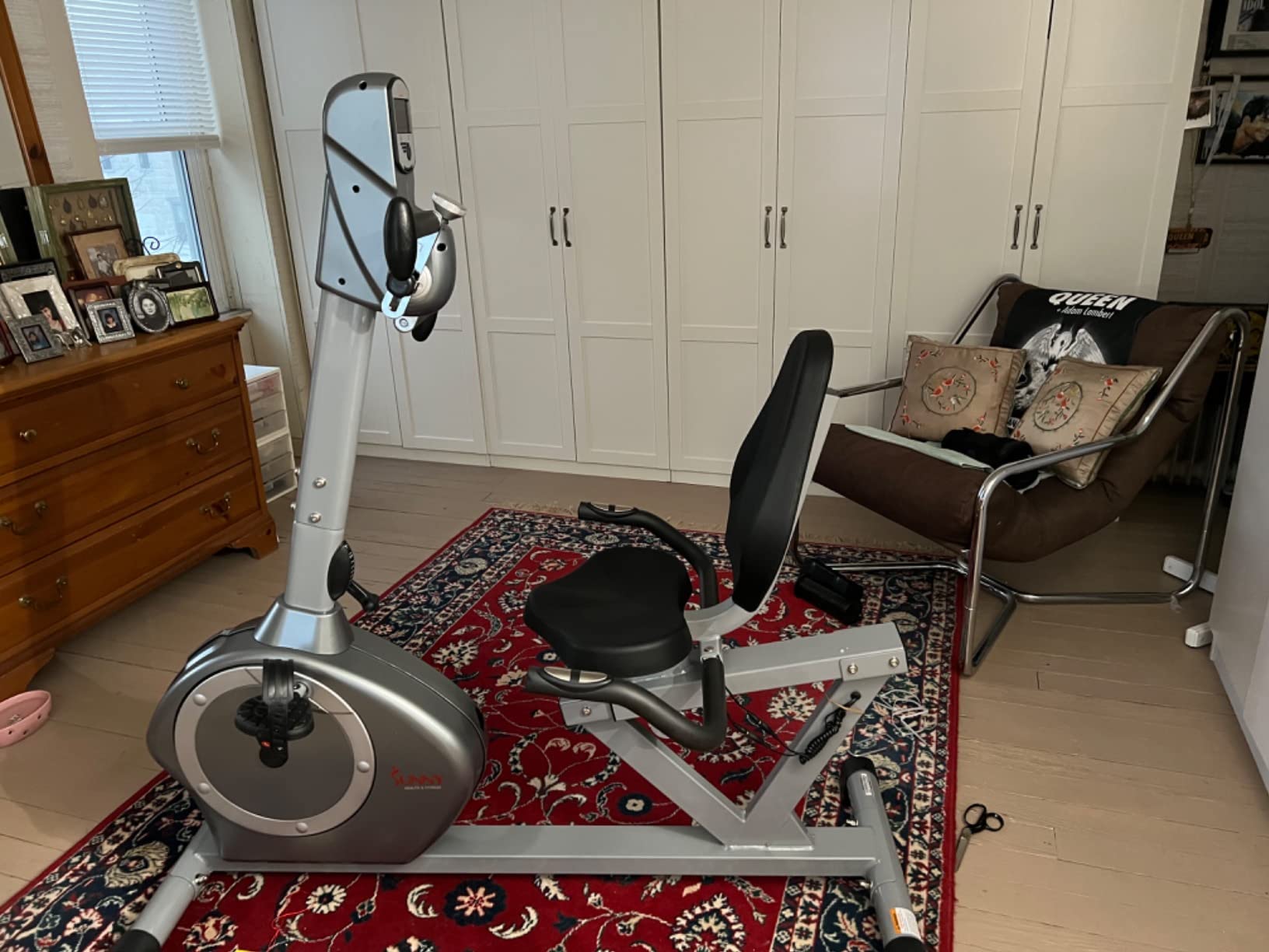 Sunny Health & Fitness Recumbent Bike SF-RB4631 with Arm