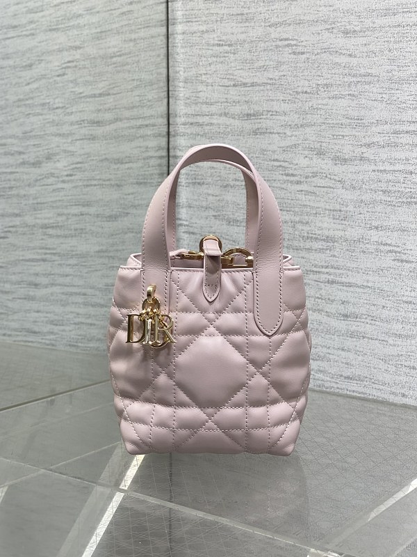 Dior Toujours Vertical Tote Bag Mini Pink