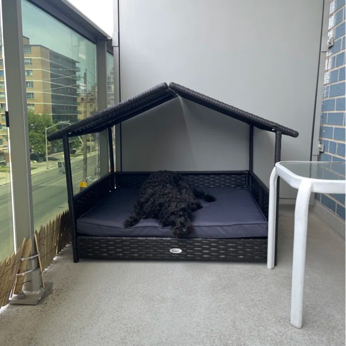 Lollis Wicker Cot Dog Bed