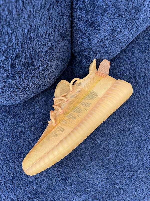 Adidas Yeezy Boost 350