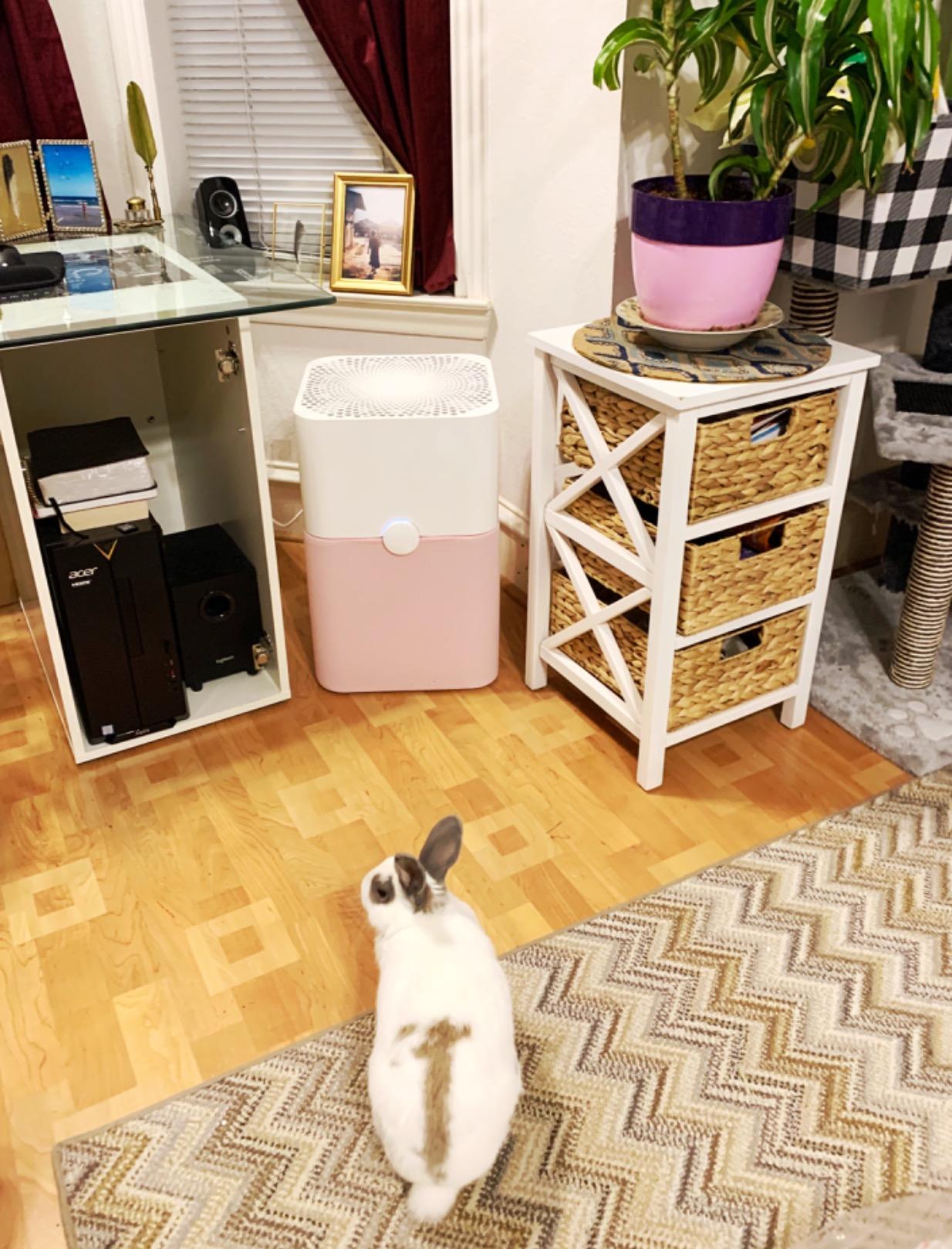 BLUEAIR Air Purifier Large Room