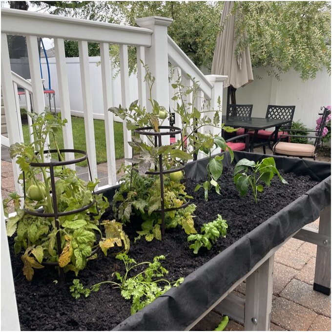 Wood Elevated Planter