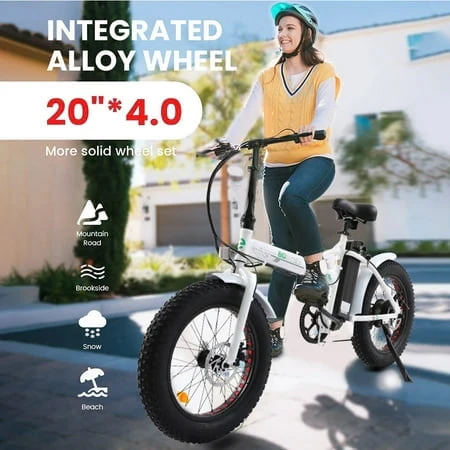 ECOTRIC 20in Folding Fat Tire Electric Bike, 500W