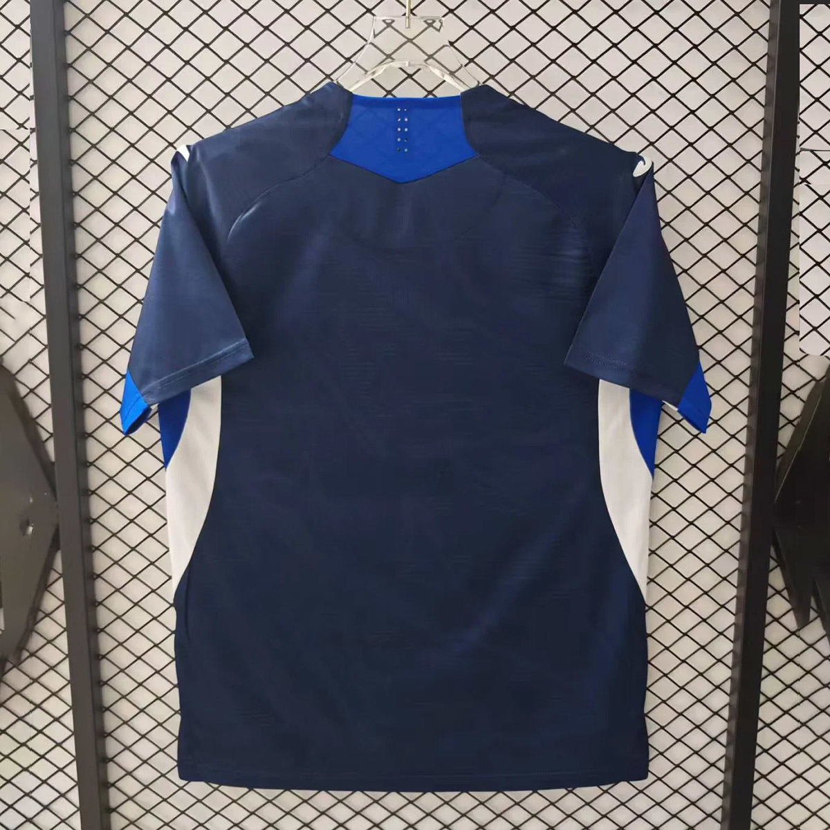 TSG Hoffenheim 25/26 Home Jersey S-4XL