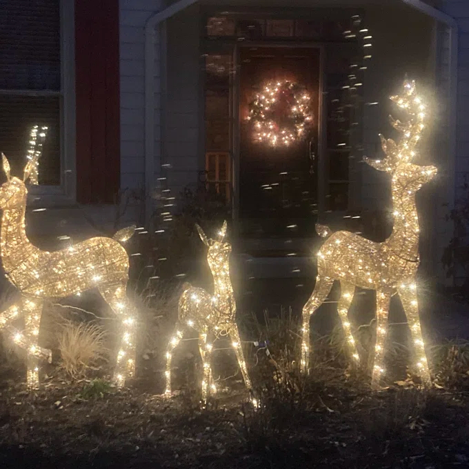 3 Piece Christmas Deer Light Display Set