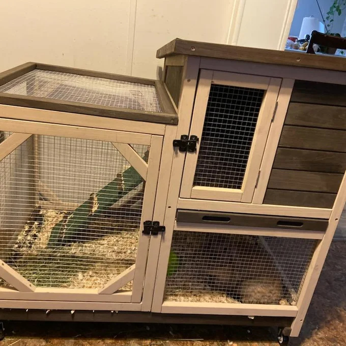 Gossy Weather Resistant Rabbit Hutch with Ramp