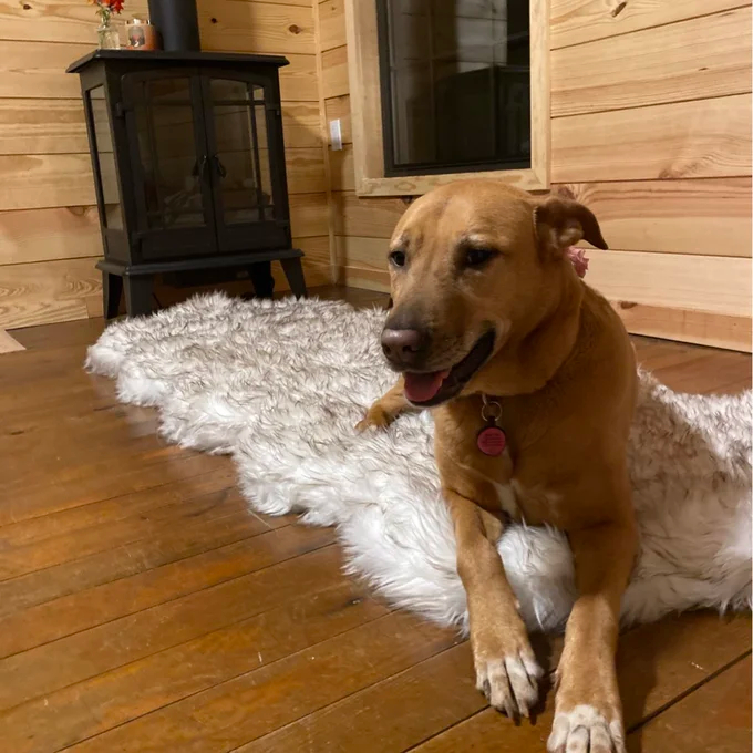 Pretor Puprug Runner Faux Fur Memory Foam Dog Curve Mat