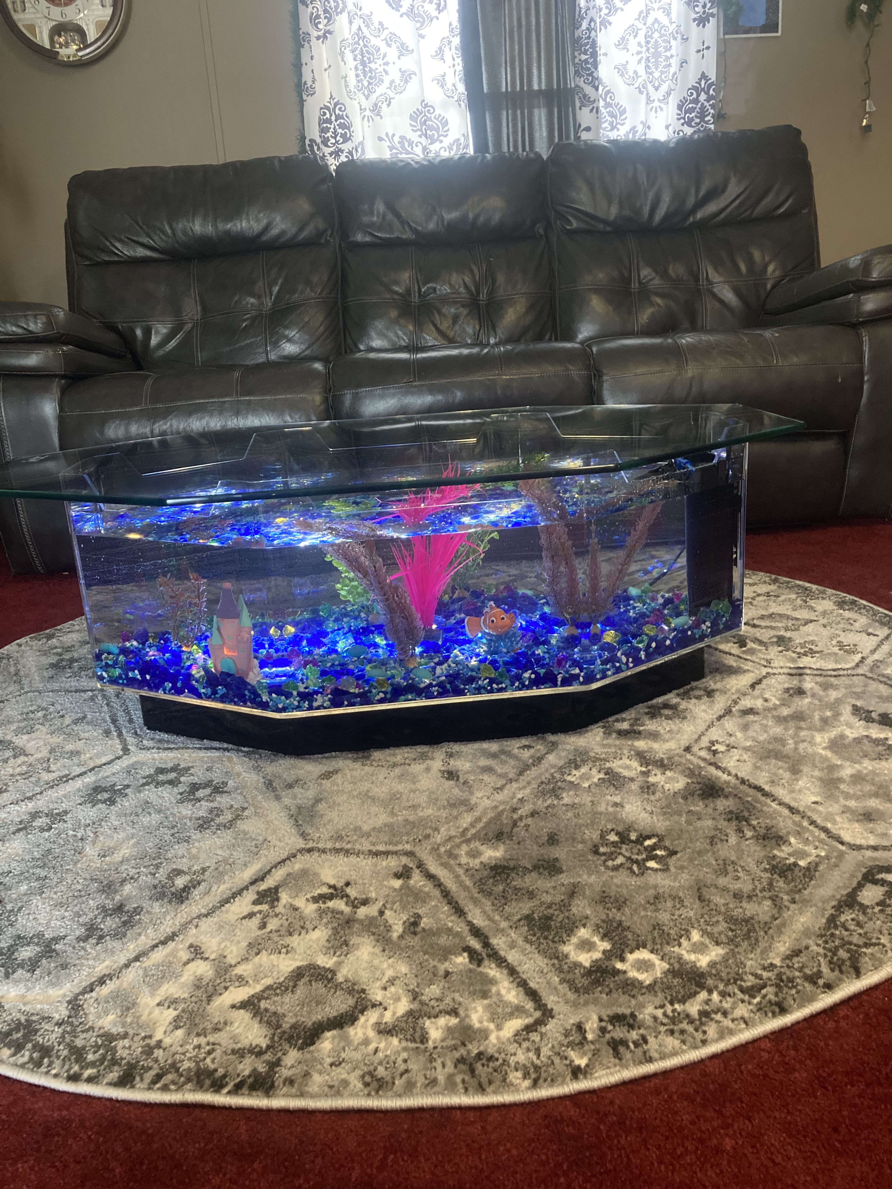 28 Gallon AquaTable Aquarium Octagon