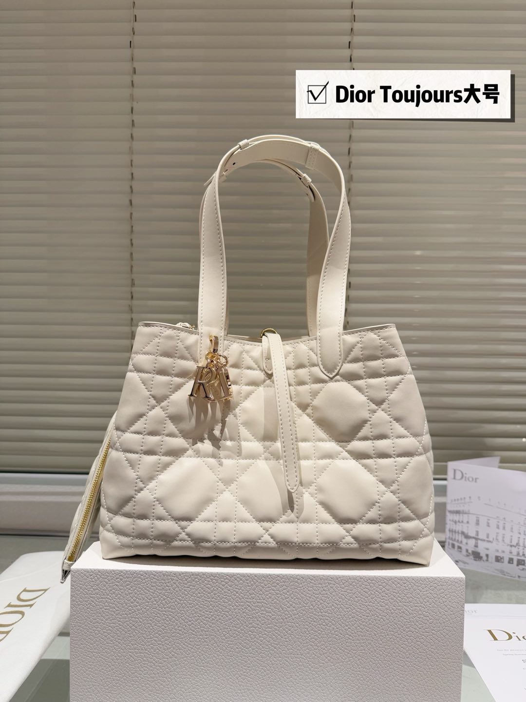 Dior Toujours Transformed Tote Bag